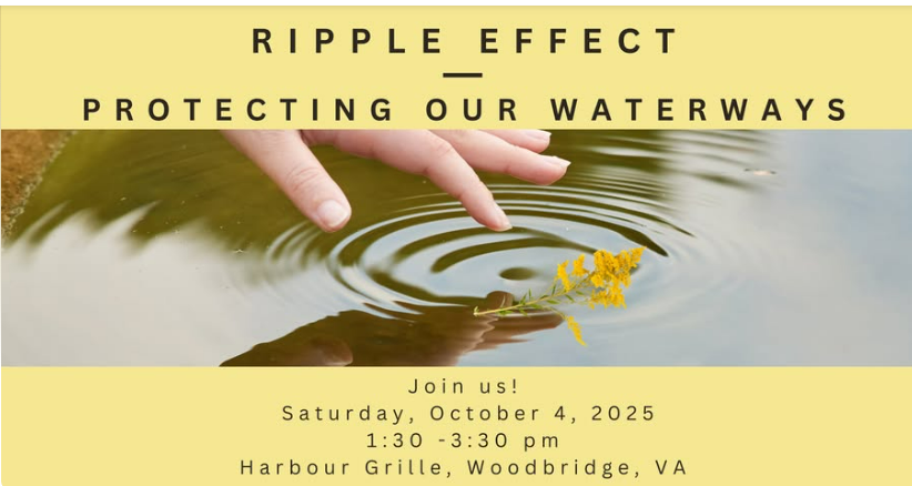 ripple effect – The Coalition to Protect Prince William County